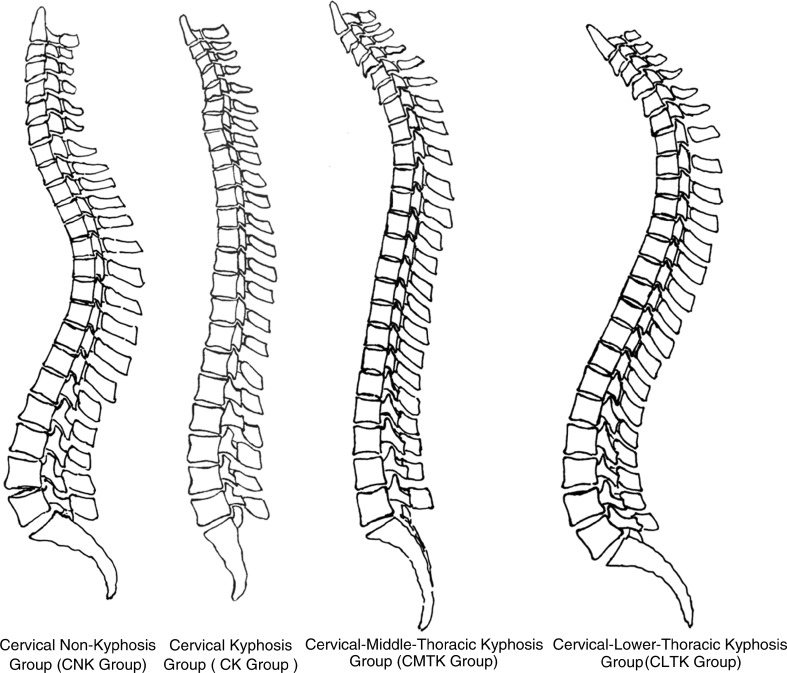 Fig. 5