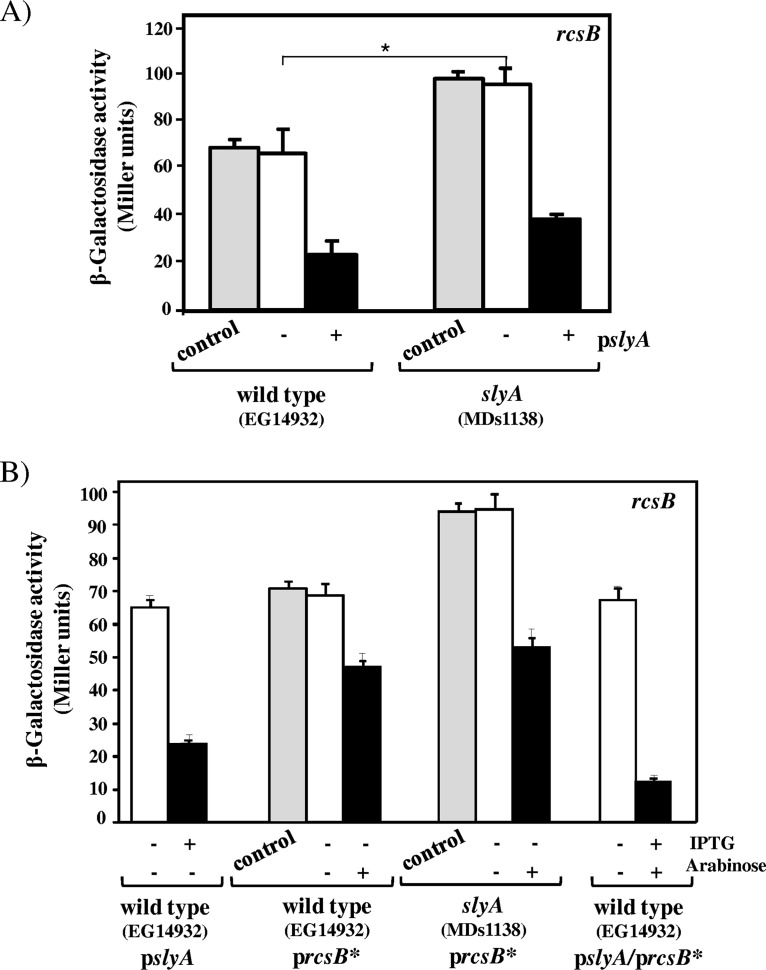 Regulatory Effect of SlyA on rcsB Expression in Salmonella enterica ...