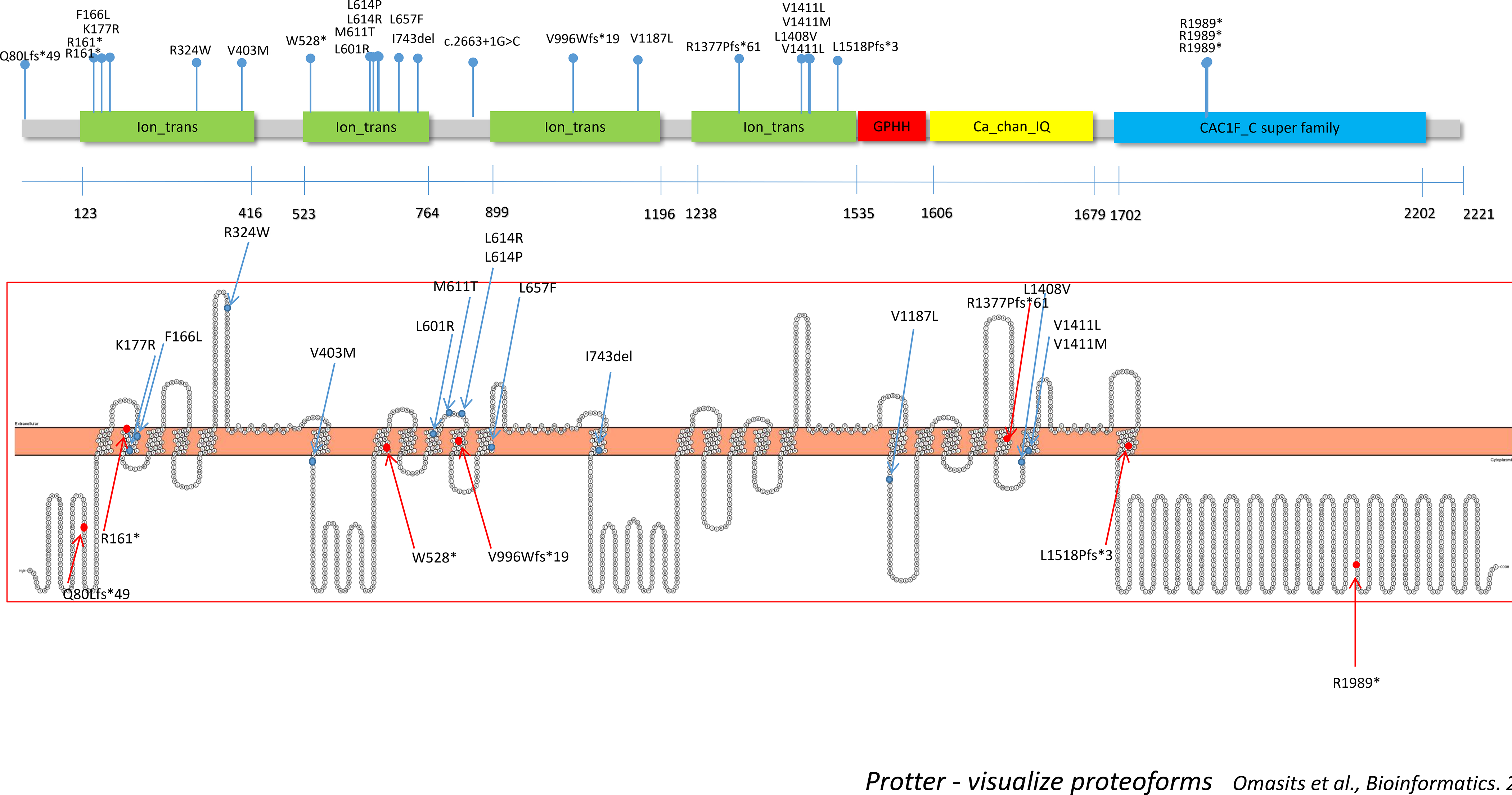 Figure 3: