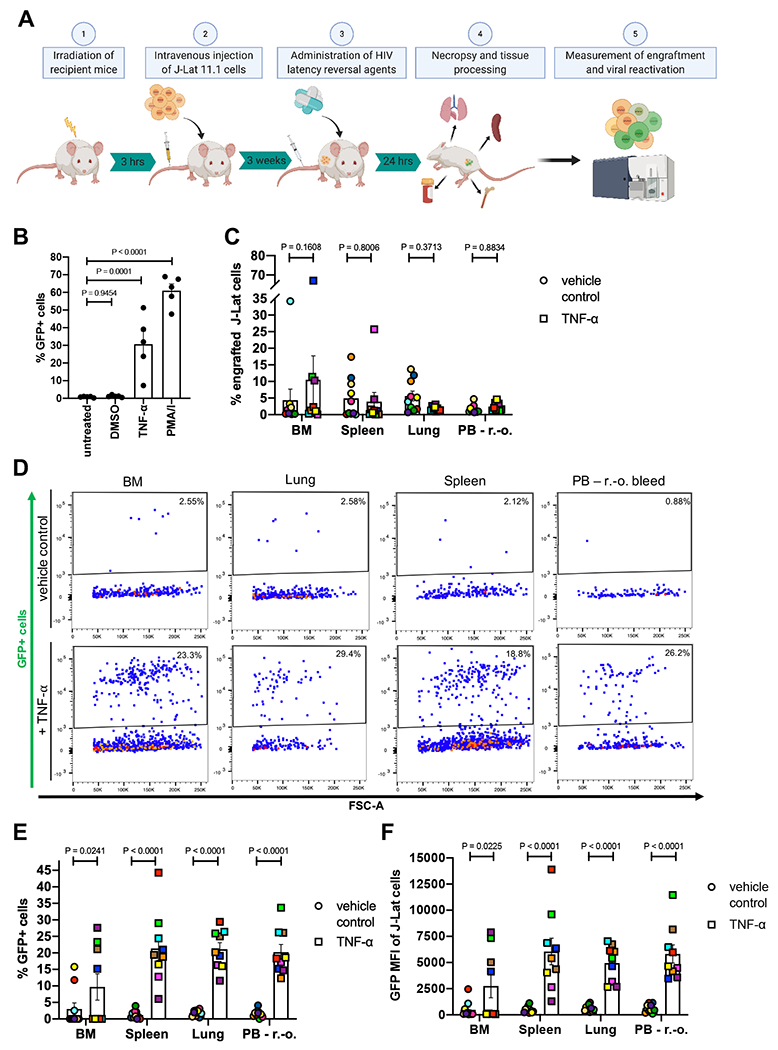 Figure 6: