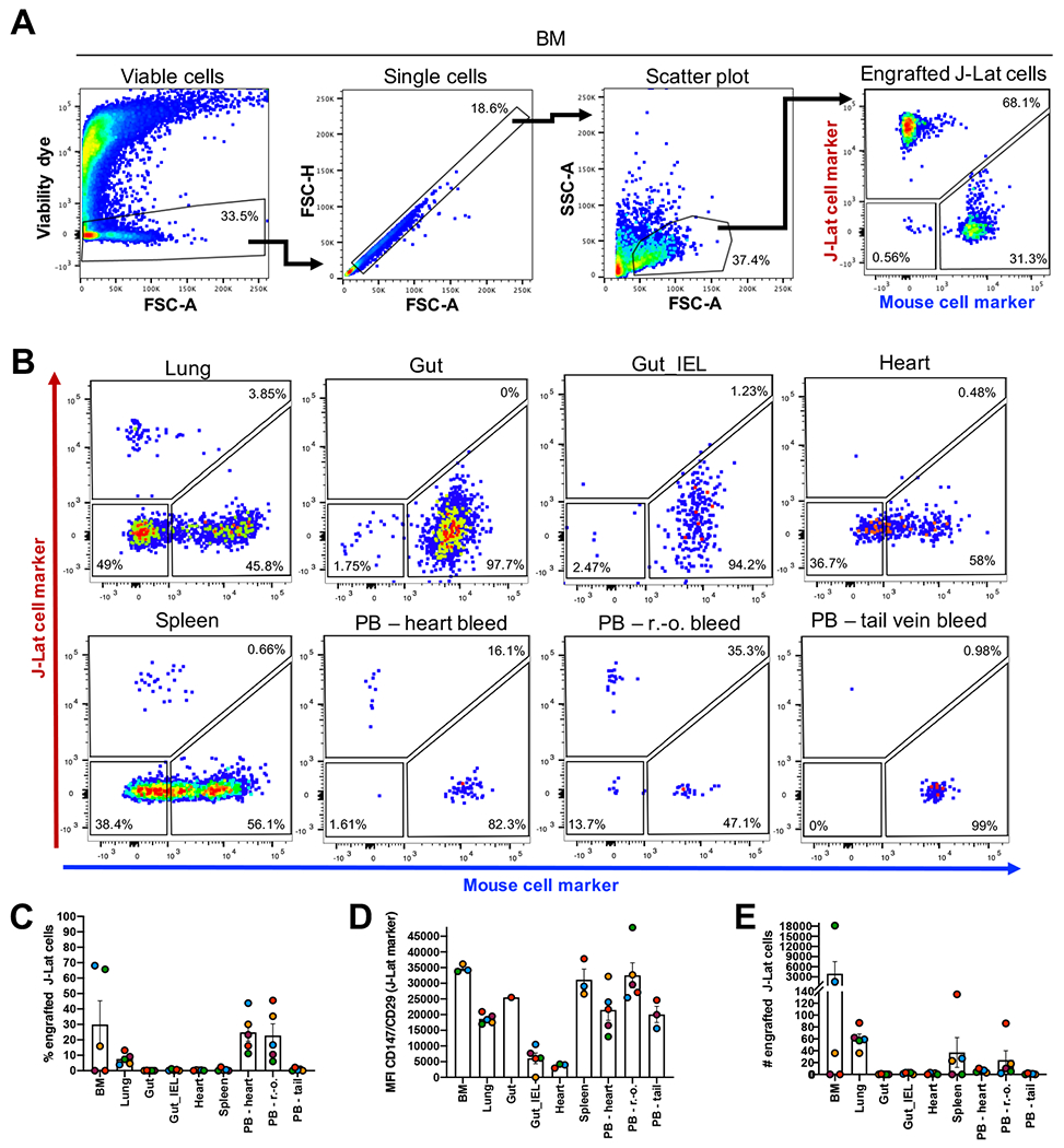 Figure 4: