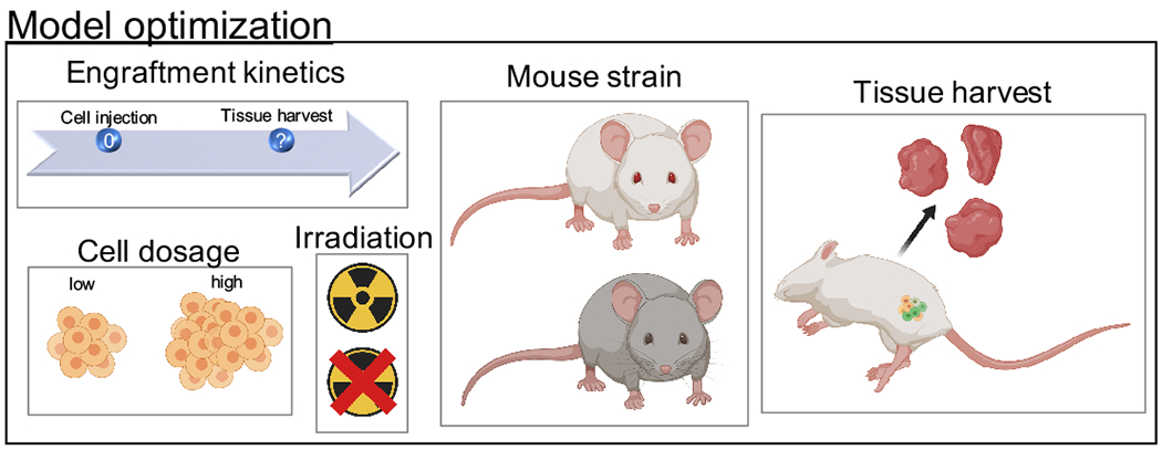 Figure 2: