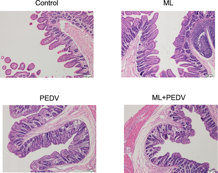 Figure 2