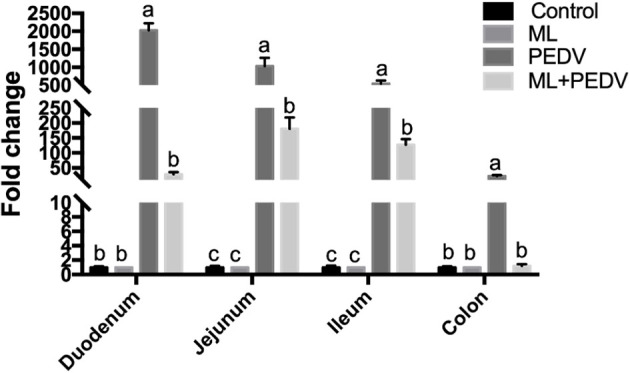 Figure 3