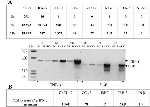 FIG. 6.