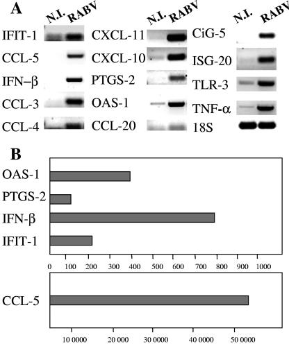 FIG. 4.