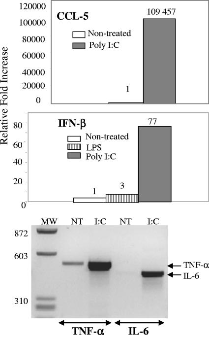 FIG. 7.