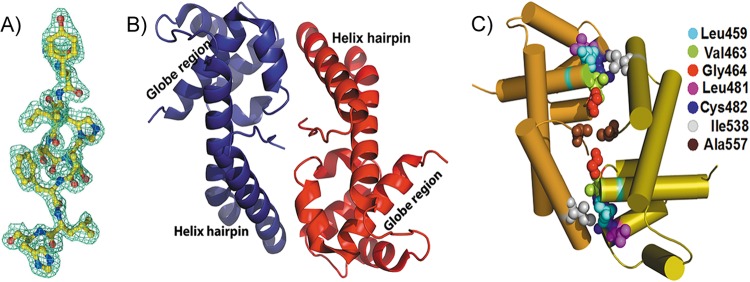 Fig 2