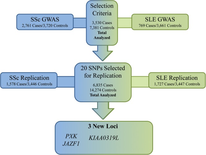 Figure 1.