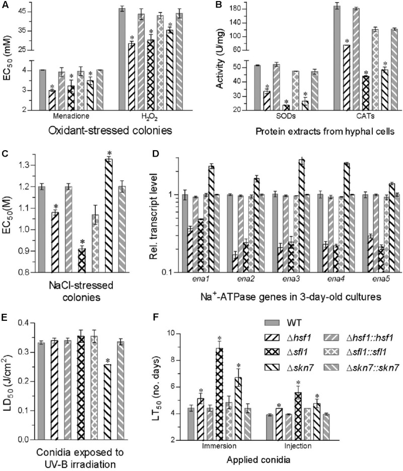 FIGURE 4