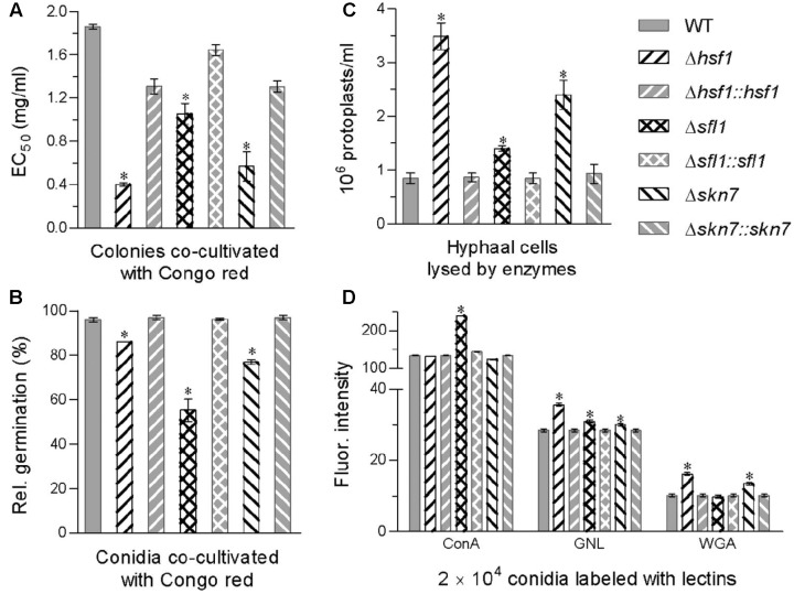 FIGURE 3