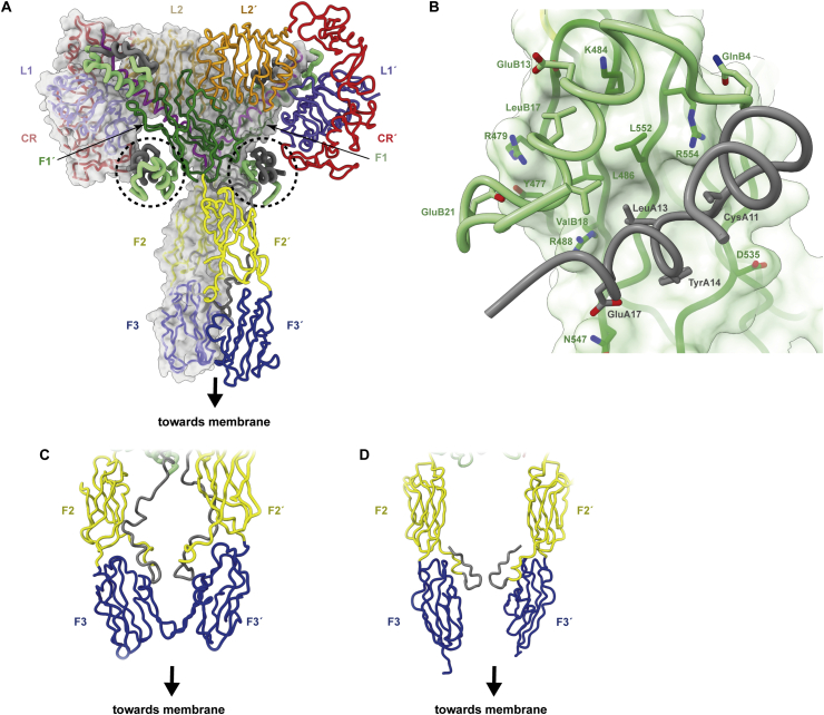 Figure 7