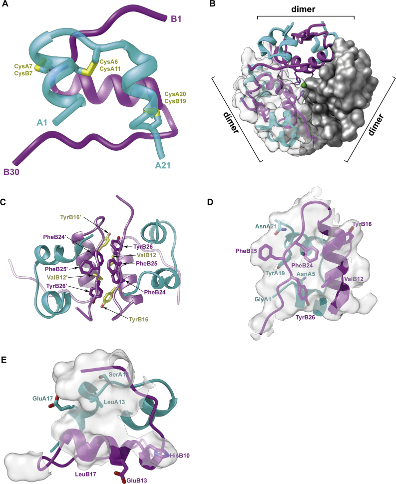 Figure 1