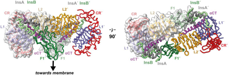 Figure 6