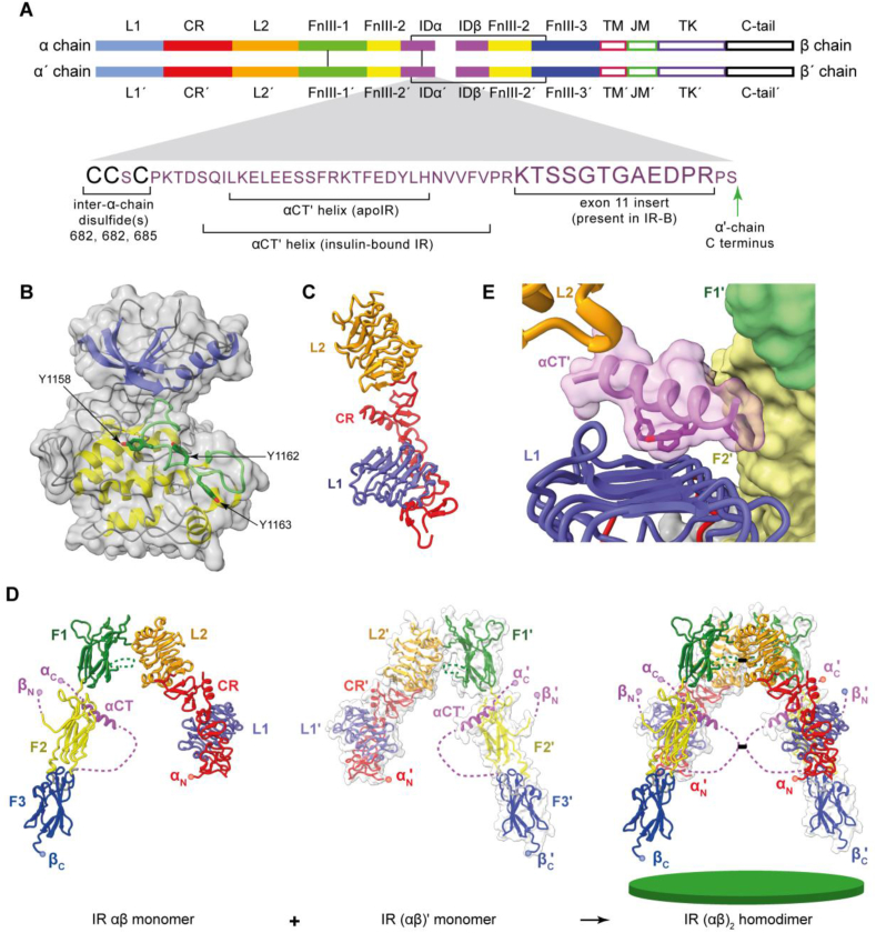 Figure 2