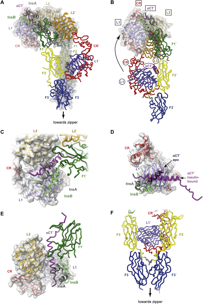 Figure 5