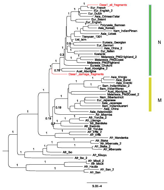 Extended Data Figure 1