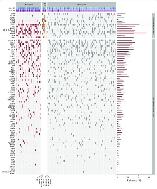 FIG A6.