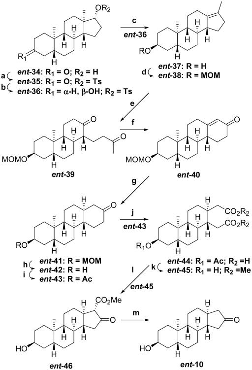 Scheme 4