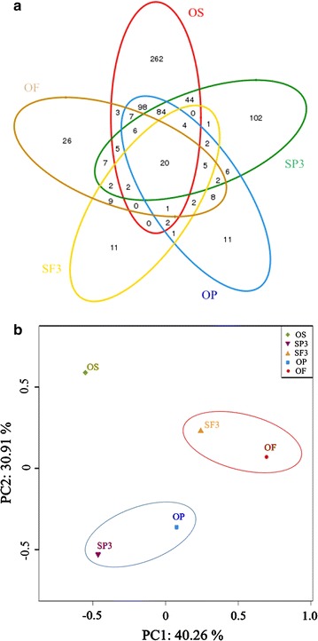 Fig. 4