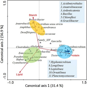 Fig. 6