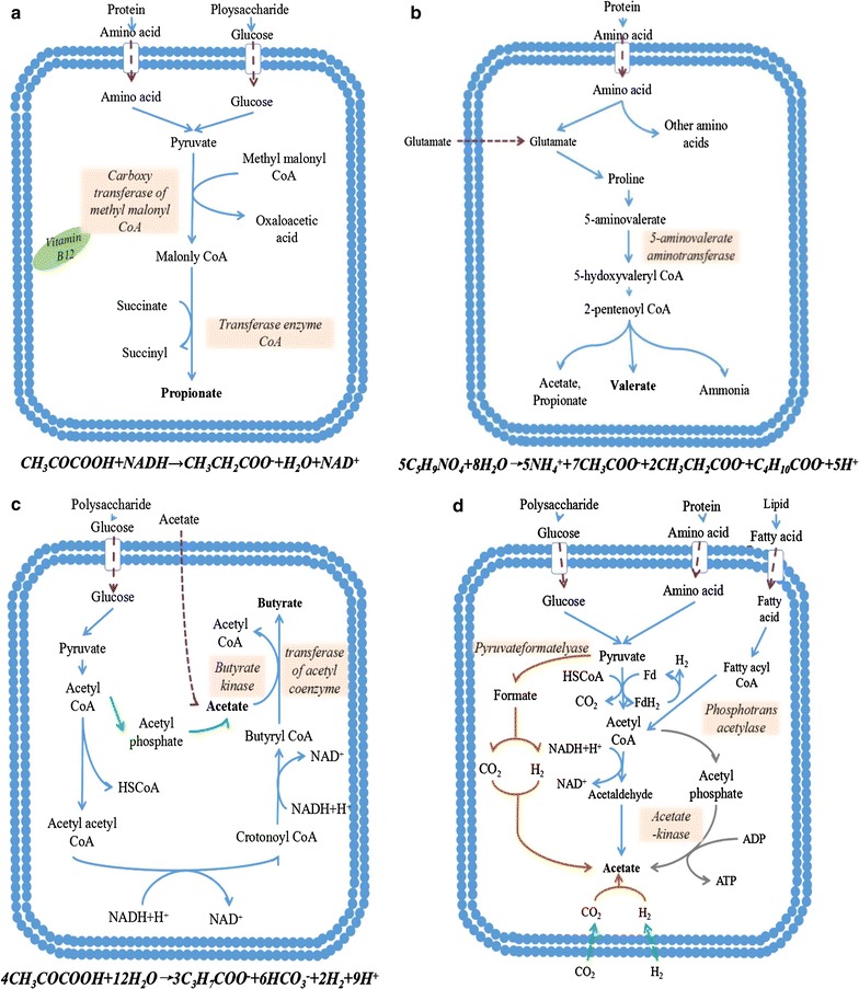 Fig. 7