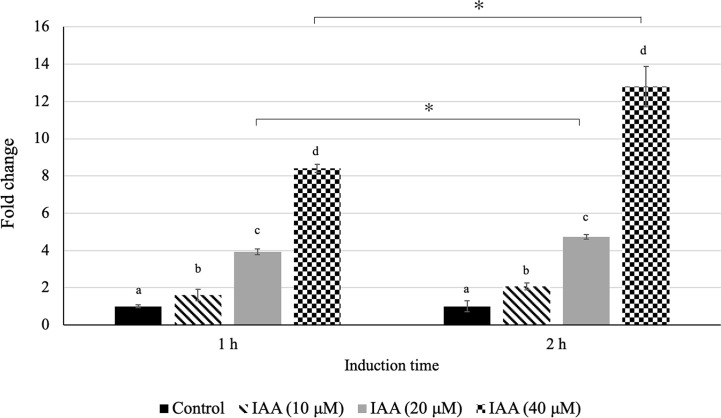 Figure 7