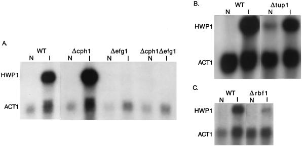 FIG. 6