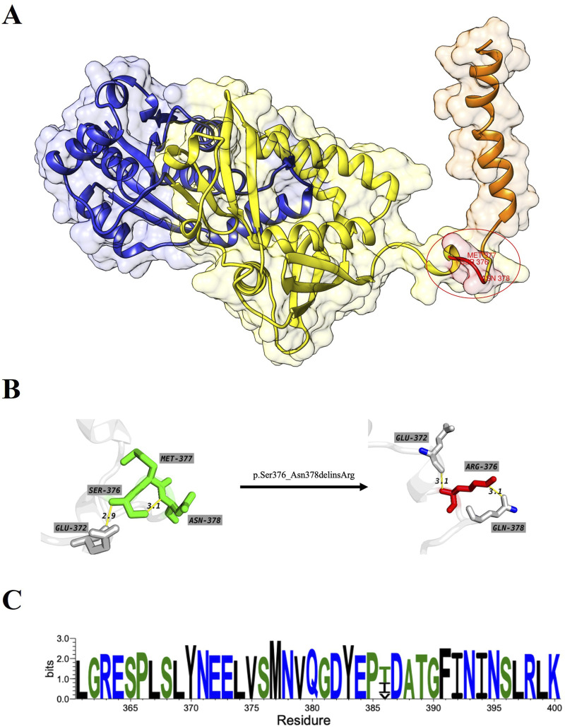 FIGURE 3