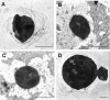 FIG. 6.