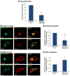 Figure 5