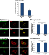 Figure 7