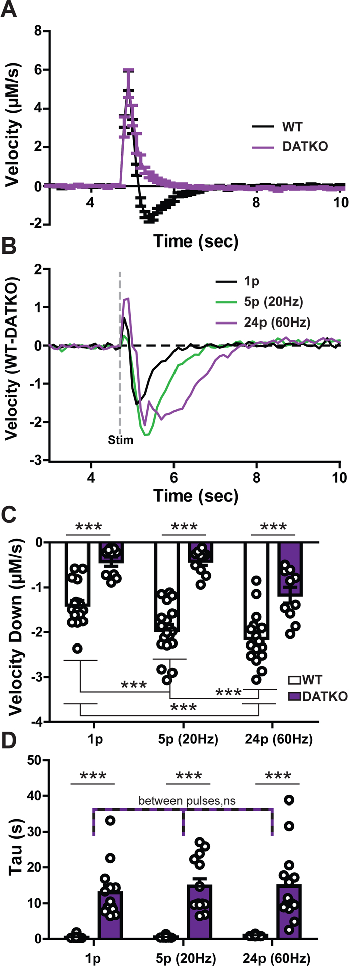 Figure 5.