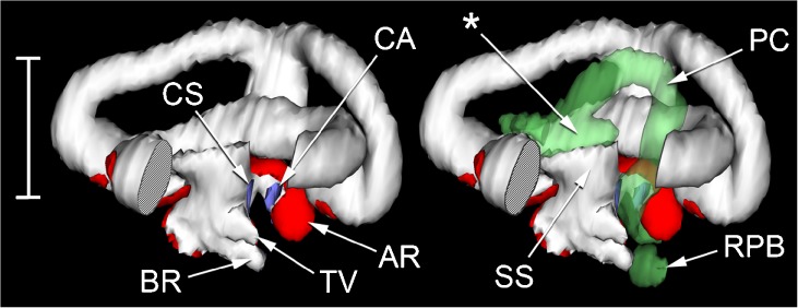 FIG. 6