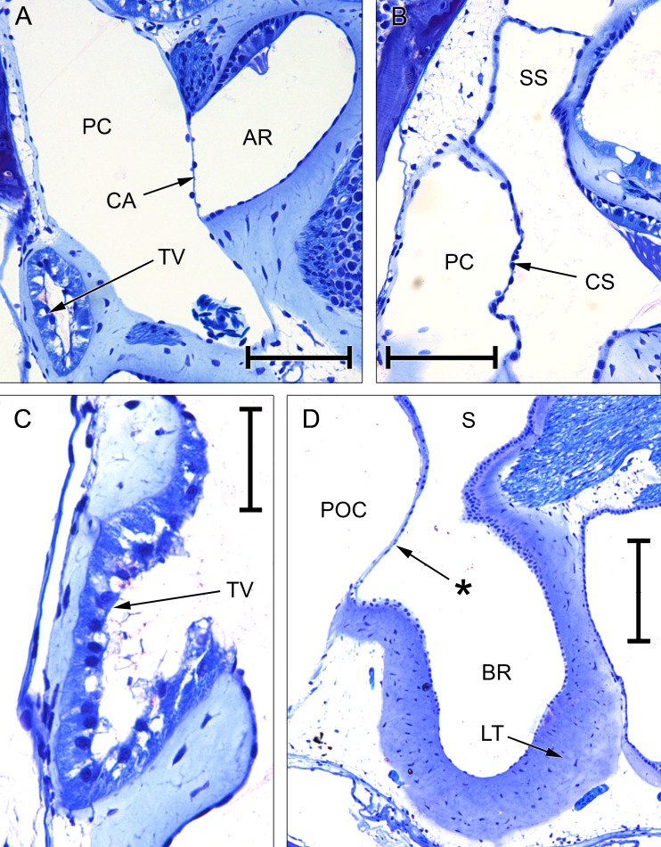 FIG. 8