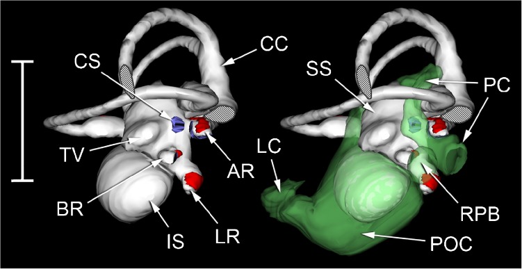 FIG. 3