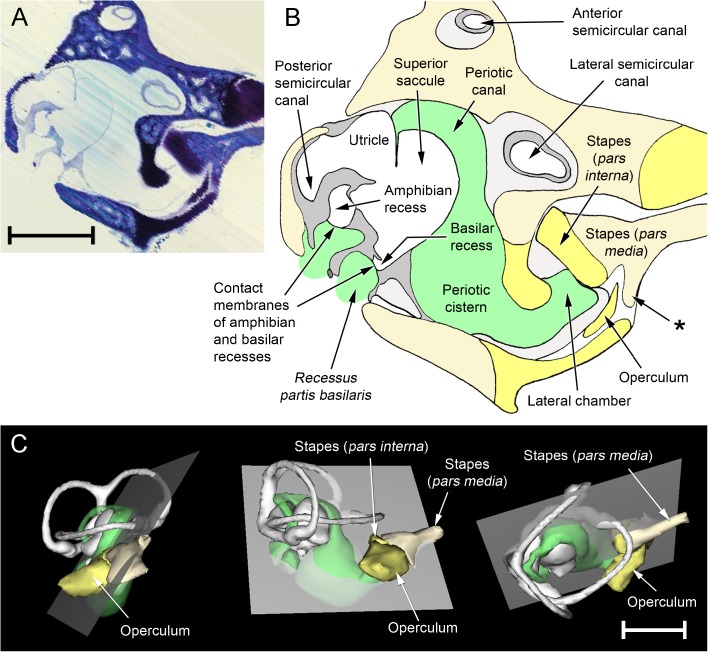 FIG. 12