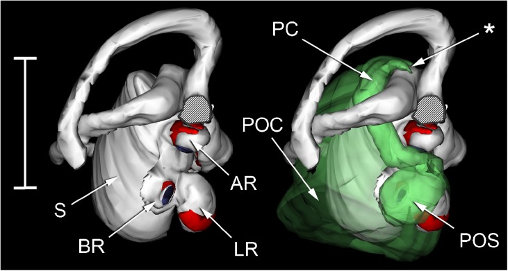 FIG. 10