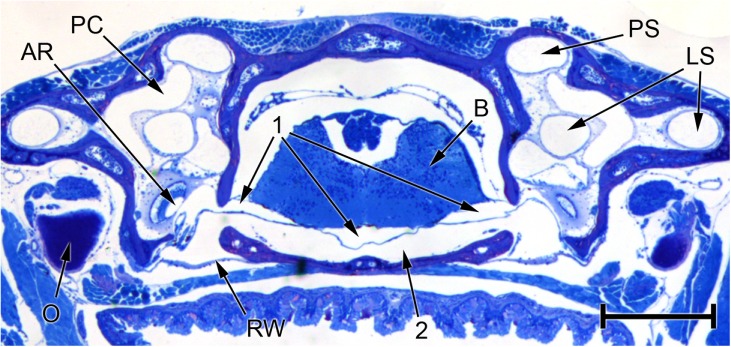 FIG. 9