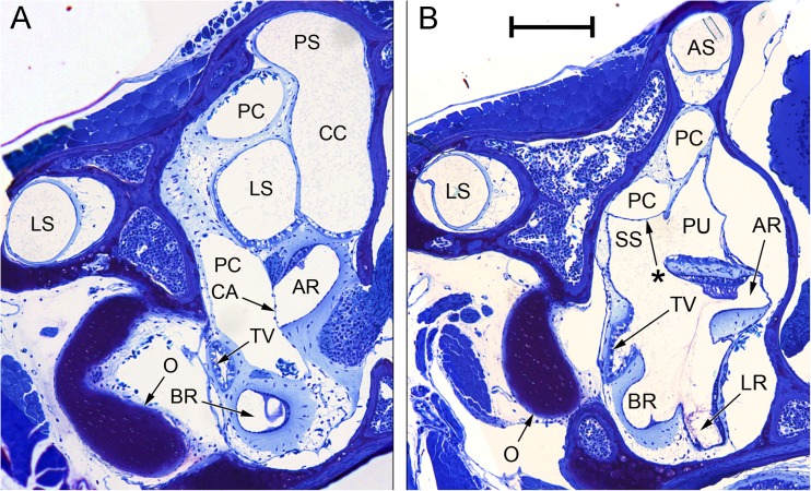 FIG. 7