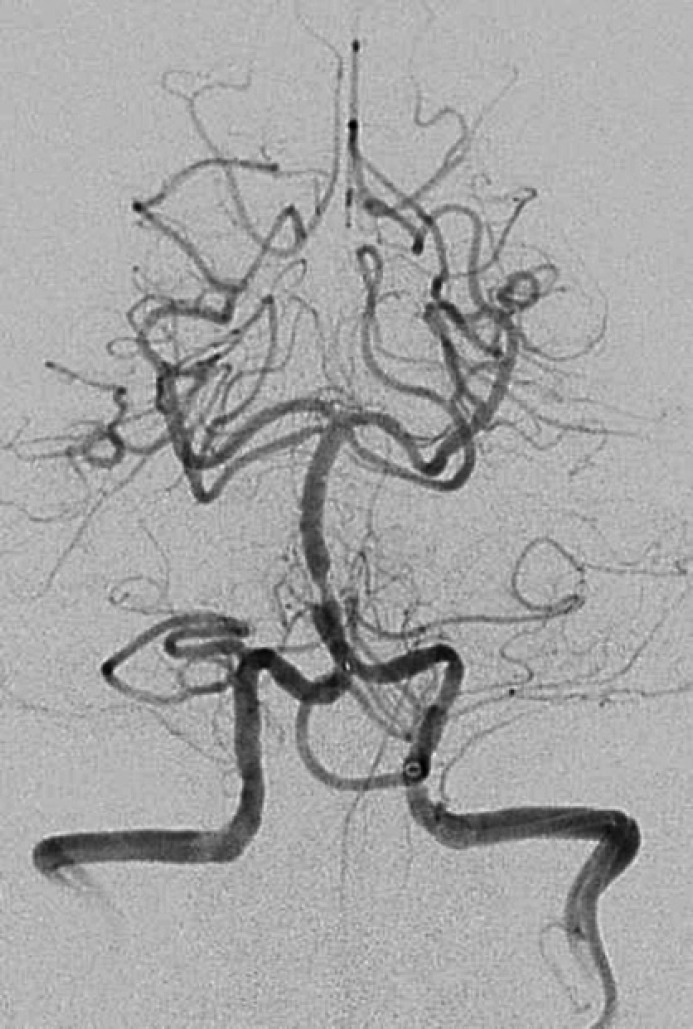 Fig. 8