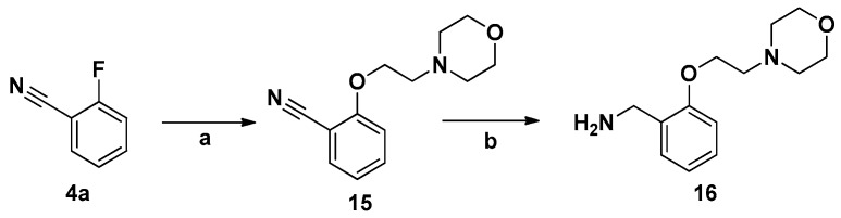 Scheme 3