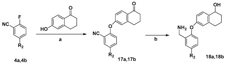 Scheme 4