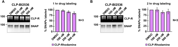 Figure 2—figure supplement 2.