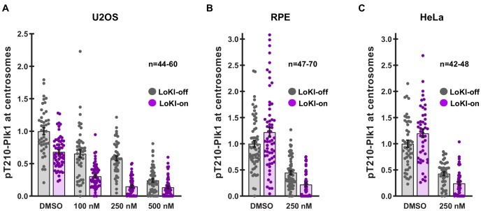 Figure 2—figure supplement 4.