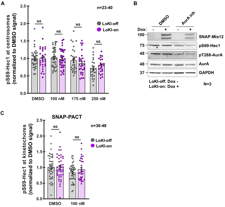 Figure 6—figure supplement 2.