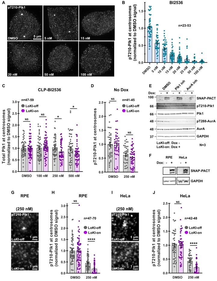 Figure 2—figure supplement 3.