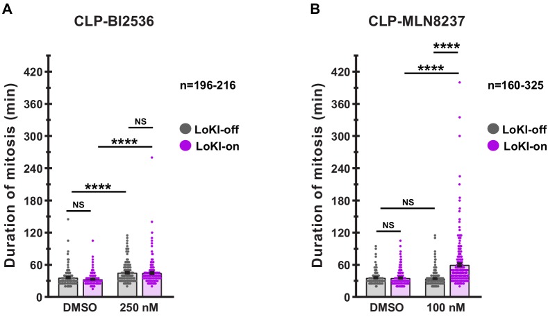 Figure 4—figure supplement 3.