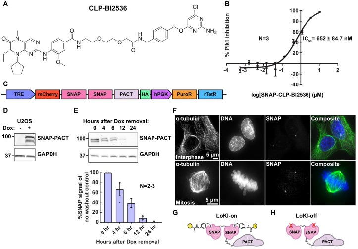 Figure 2—figure supplement 1.