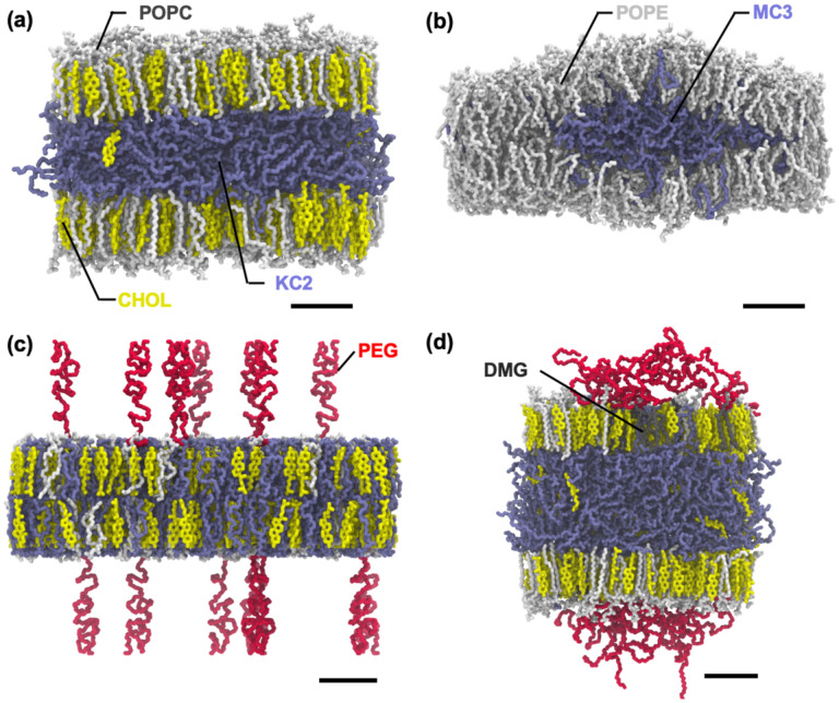Fig. 3.